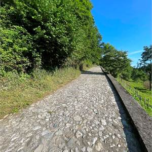 Terreno Agricolo In Vendita a Asso