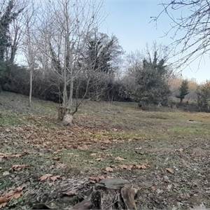 Terreno Agricolo In Vendita a Erba